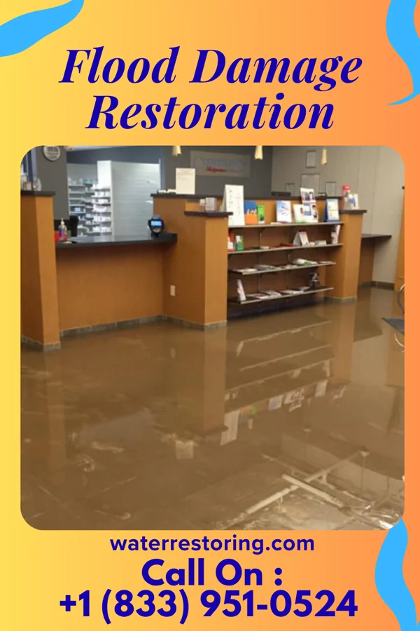 Flood Damage Restoration in Sacred Heart, MN