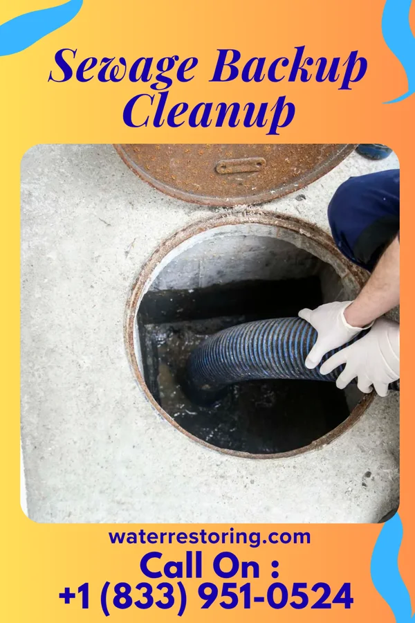 Sewage Backup Cleanup in Sacred Heart, MN