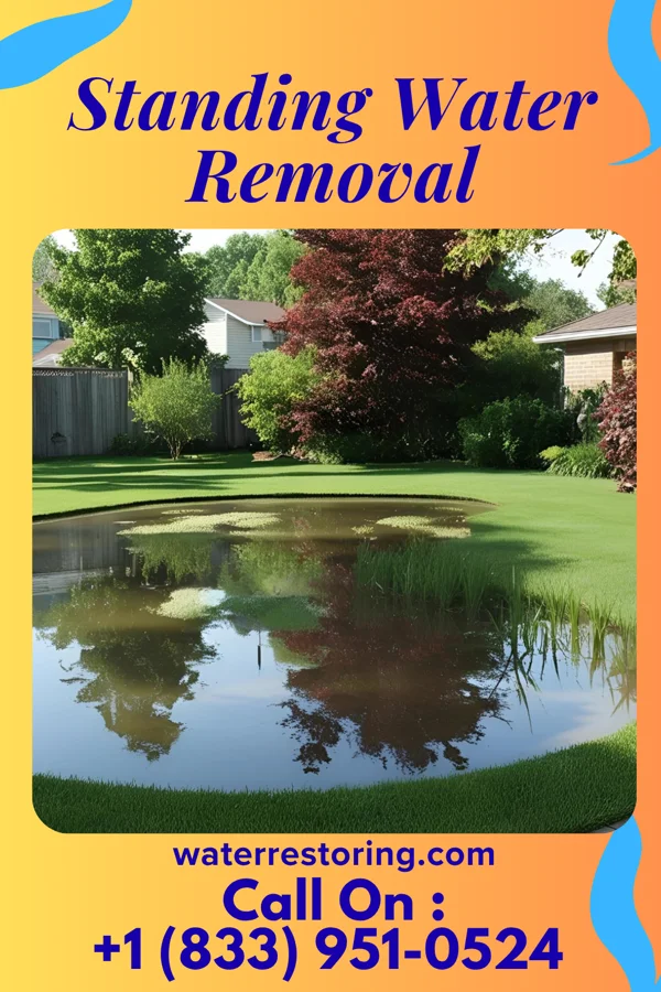 Standing Water Removal in Sacred Heart, MN